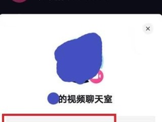 视频聊天平台哪个最赚钱,最火的视频聊天室