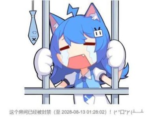 b站大全不收费,哔哩哔哩b站在线看免费
