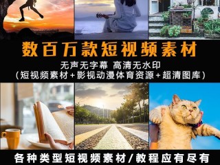短视频素材网,视频素材下载免费无水印