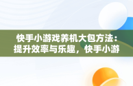 快手小游戏养机大包方法：提升效率与乐趣，快手小游戏怎么赚收益 