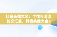 抖音头像大全：个性与潮流的交汇点，抖音头像大全2023最新版的 