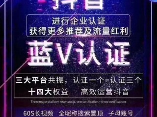 抖音企业认证是什么(抖音企业认证是什么意思呀)