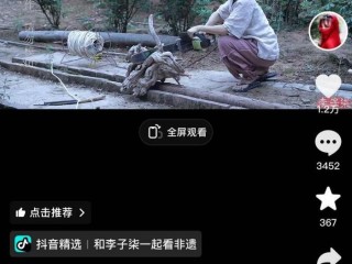 抖音视频在线观看入口官网,抖音视频在线观看入口官网网址