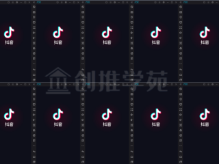 抖音网页版官方(抖音网页版官方下载)