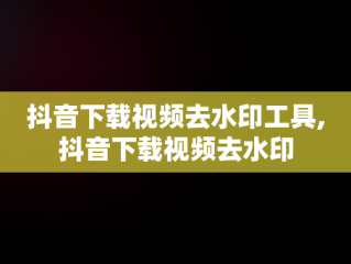 抖音下载视频去水印工具,抖音下载视频去水印