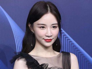 网红女主播雪梨成被执行人,网红女主播雪梨成被执行人有人说你是哈婆娘怎么回答
