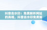 抖音去水印：免费解析网址的真相，抖音去水印免费解析网站 