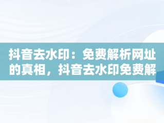 抖音去水印：免费解析网址的真相，抖音去水印免费解析网站 