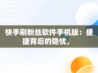 快手刷粉丝软件手机版：便捷背后的隐忧， 
