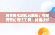 抖音去水印视频解析：在线提取的魔法工具，抖音视频去水印解析网址 