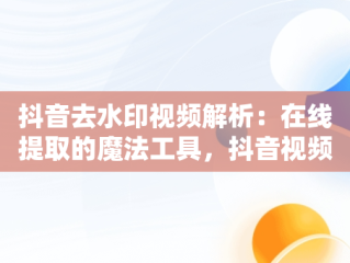 抖音去水印视频解析：在线提取的魔法工具，抖音视频去水印解析网址 