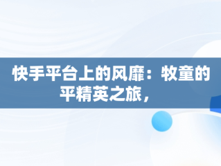快手平台上的风靡：牧童的平精英之旅， 