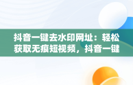 抖音一键去水印网址：轻松获取无痕短视频，抖音一键去水印的app 