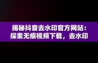 揭秘抖音去水印官方网站：探索无痕视频下载，去水印抖音去水印 