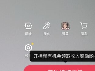 抖音电脑版在线观看飞燕直播,抖音电脑版在线观看飞燕直播回放