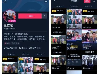 抖音100w点赞多少收入,抖音短视频怎么变现呢