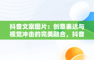 抖音文案图片：创意表达与视觉冲击的完美融合，抖音文案图片都是在哪里找的 