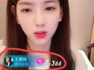 包含网红孙一宁和半只狐狸pk的词条
