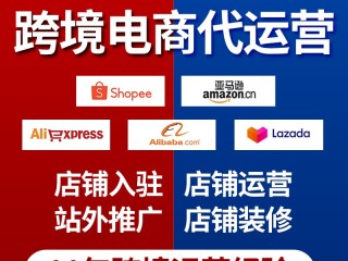 广州跨境电商公司在哪个区域,广州跨境电商代运营