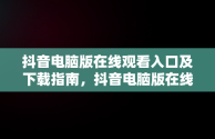 抖音电脑版在线观看入口及下载指南，抖音电脑版在线观看入口下载 