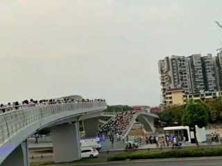 网红桥高手视频,网红桥视频上的高手