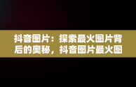 抖音图片：探索最火图片背后的奥秘，抖音图片最火图片壁纸 