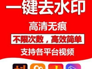 短视频去水印的方法(短视频去水印的方法是什么)