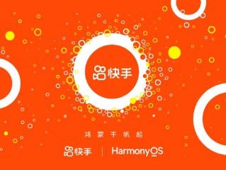 快手视频APP在线解析网,快手视频app