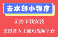 短视频去水印接口支持全网解析源码,短视频去水印接口