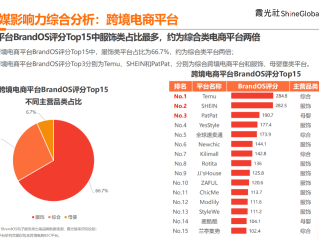 跨境电商平台的优劣势,跨境电商平台各自的优缺点