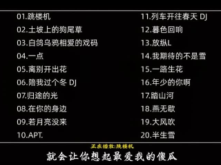 最火的歌曲2025排行前10名,最火的2021排行前10名歌