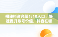 揭秘抖音充值1:10入口：快速提升账号价值，抖音在哪充值1比10 