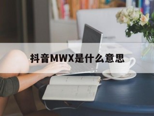 抖音官网版入口,抖音MWX是什么意思