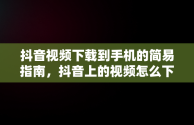 抖音视频下载到手机的简易指南，抖音上的视频怎么下载到手机上无水印 