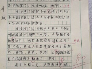 变形记作文高分,变形记满分作文