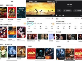 快手短视频观看电脑版直接打开(快手短视频观看电脑版直接打开吗)