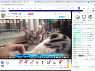 夜里一个人看b站直播怎么关,夜里一个人看b站直播怎么关摄像头