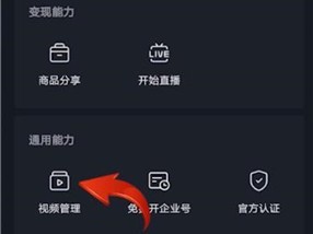 抖音电脑版官方网站下载,抖音电脑版官方下载官网怎么下载