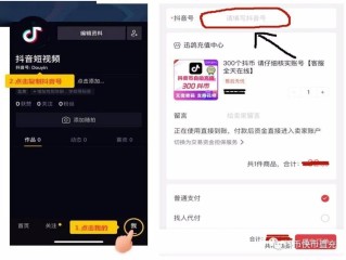 抖音充值平台官网,抖音app官方网站充值