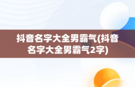 抖音名字大全男霸气(抖音名字大全男霸气2字)