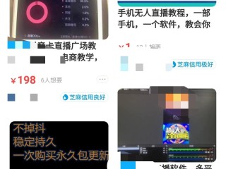 无人直播赚钱模式骗局2022,无人直播赚钱模式骗局3980视频