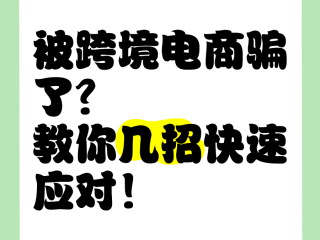 做跨境电商被骗了(做跨境电商被骗了10万)