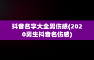 抖音名字大全男伤感(2020男生抖音名伤感)