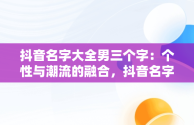 抖音名字大全男三个字：个性与潮流的融合，抖音名字大全男三个字英文 