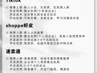tiktok无货源跨境电商怎么做的简单介绍