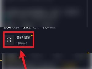 抖音橱窗电脑端怎样打开?,抖音电脑版官网橱窗