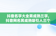 抖音名字大全男成熟三字,抖音网名男成熟吸引人三个字