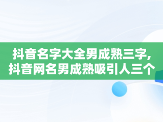 抖音名字大全男成熟三字,抖音网名男成熟吸引人三个字