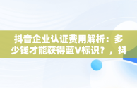 抖音企业认证费用解析：多少钱才能获得蓝V标识？，抖音企业认证多少钱一个月 