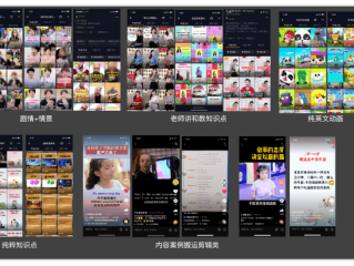 抖音短视频网页版在线官网(抖音短视频网页版在线官网下载)